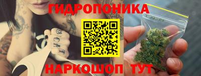 индика Беслан