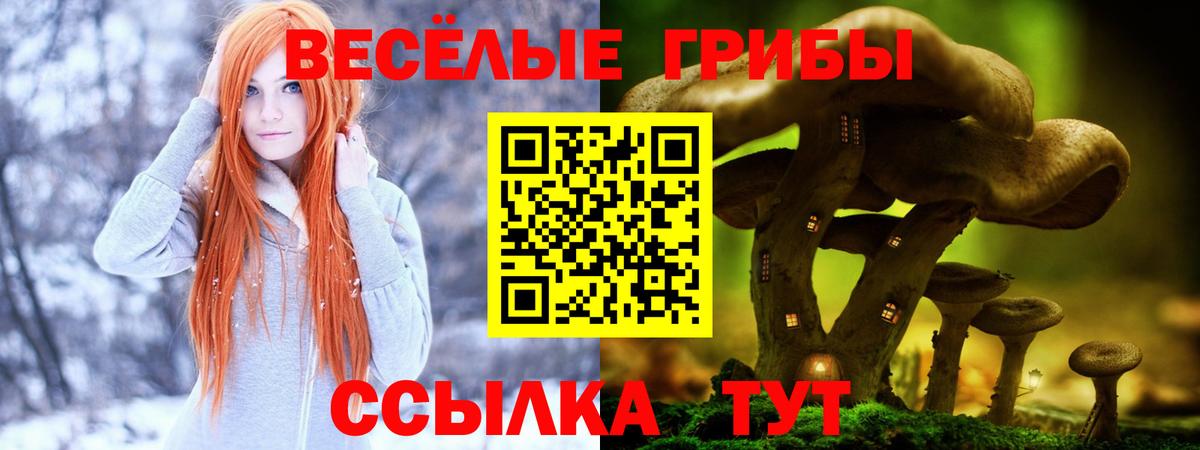 Псилоцибиновые грибы Cubensis  Вход с VPN  Галлюциногенные грибы MAGIC MUSHROOMS  Астрахань 